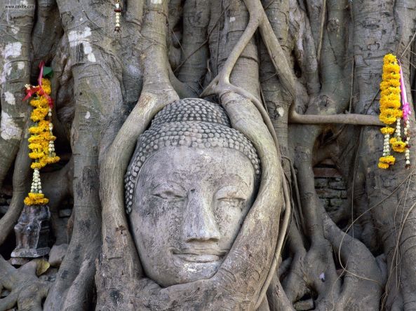 buddha_face_wat_mahathat_ayutthaya_thailand